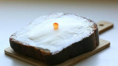 Photo of Нет единого взгляда на икру