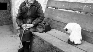 Photo of Мы сидим на отшибе истории и смотрим, как будущее проходит мимо нас