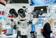 Photo of Ученые рассказали, что морские водоросли улучшают работу почек