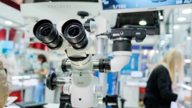 Photo of Ученые рассказали, что морские водоросли улучшают работу почек