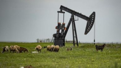 Photo of Нефть по 200, эмбарго буксует и рекордные нефтяные доходы