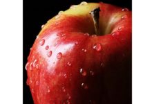 Photo of Как правильно делать покупки