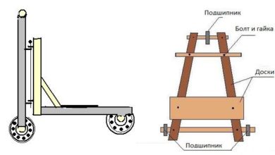 Photo of Теперь мы стали еще умнее?
