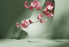 Photo of Что нельзя делать по утрам, чтобы сохранить молодость и здоровье на долгие годы