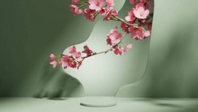 Photo of Что нельзя делать по утрам, чтобы сохранить молодость и здоровье на долгие годы