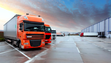 Photo of В Минтрансе заявили, что санкции сломали почти всю логистику в РФ